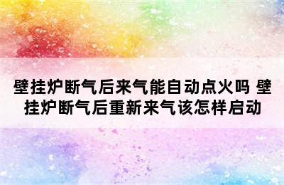 壁挂炉断气后来气能自动点火吗 壁挂炉断气后重新来气该怎样启动